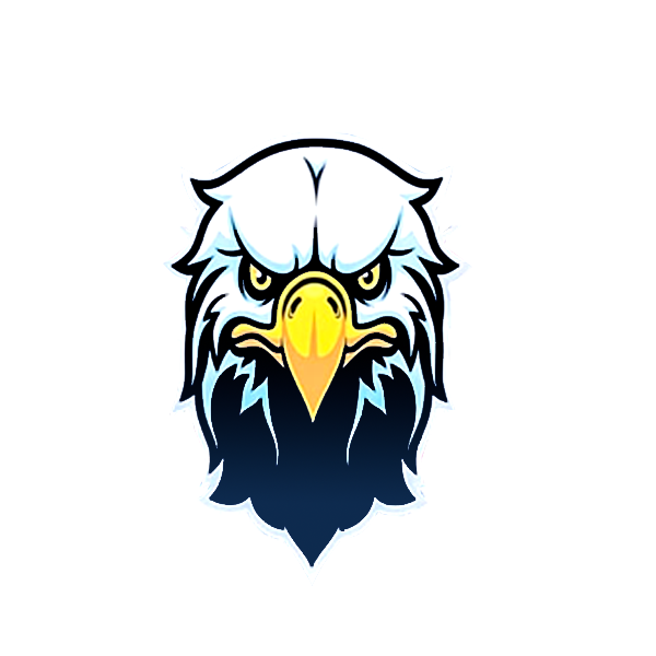 Freedom Fireworks – Black Hawk Logo